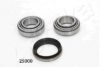 ASHIKA 44-25000 Wheel Bearing Kit